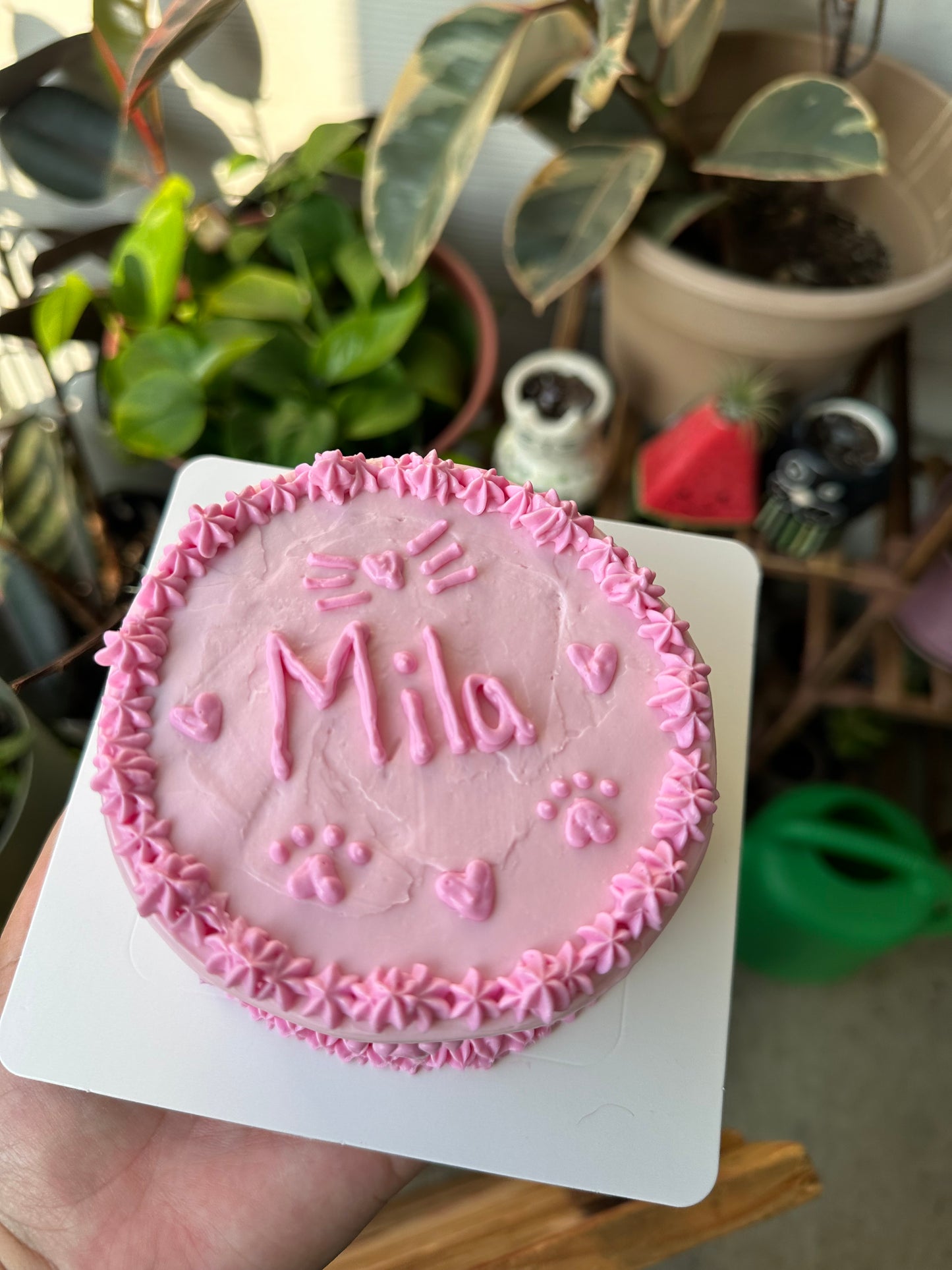 Kitty Cake