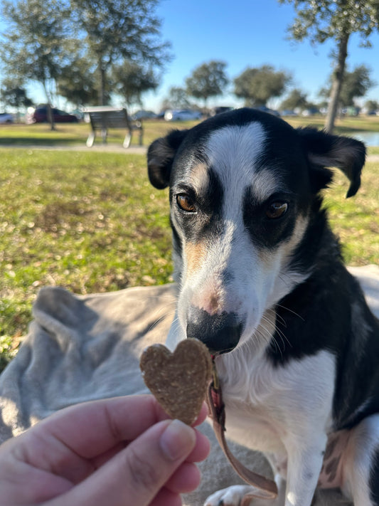 Woof You Berry Much Dog Treat